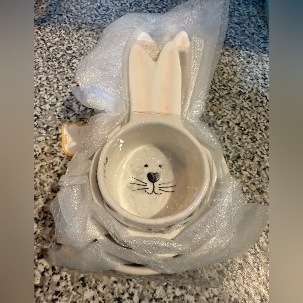 Whimsical Cupboard Ceramic Bunny Measuring Cups set. NWT